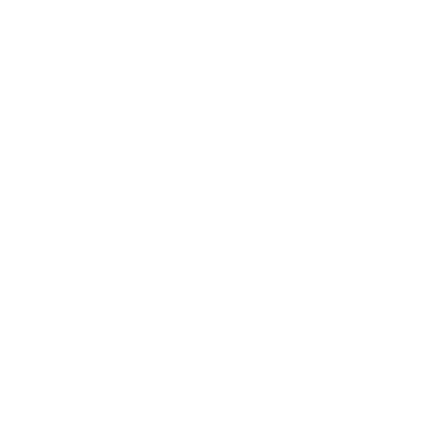 Misión